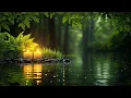 Download Lagu Relaxing Spa Music • Gentle Sounds of Water ☘️ Relieves Stress and Anxiety