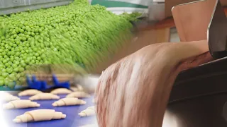 How It's Made - Hot Dog, Green peas, and Croissants