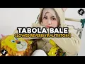 Lagu TABOLA BALE SLOWED REVERB || VIRAL TIKTOK 2025