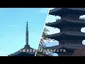 雨の物語 - イルカ (Iruka) #雨の物語 #イルカ #伊勢正三 #京都の絶景紅葉