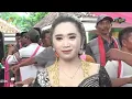 Download Lagu TAYUB ANAM #10 TOMAN Cipt.Krez VERSI WOLU-WOLU