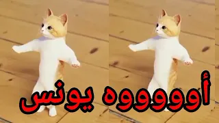 اغنية باسم يونس الزين اغنية يونس السعودية الكويت ابوظبي قطر العراق البحرين تركيا دبي الجزائر جده 