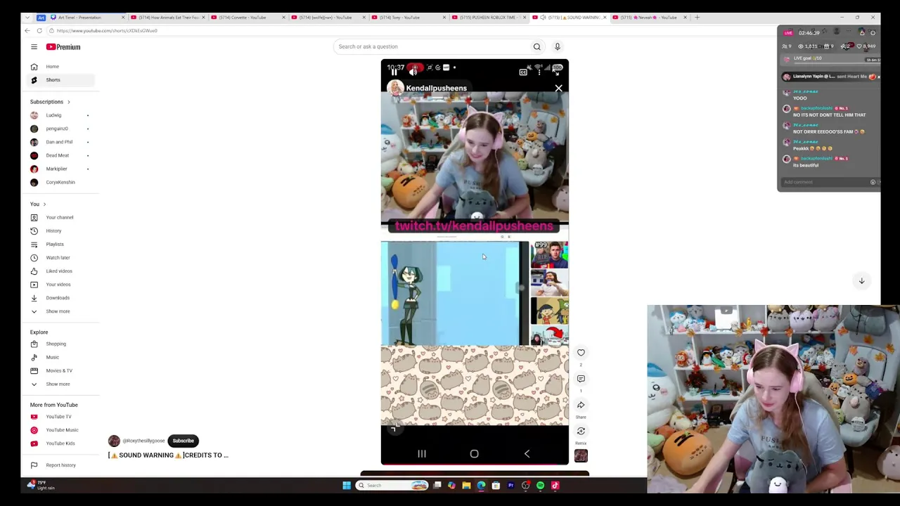 PUSHEEN ROBLOX TIME
