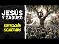 The Story of Jesus and Zacchaeus Explanation and Meaning