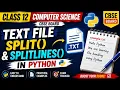split and splitlines methods File Handling in Python Class 12 Computer Science