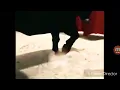 Download Lagu Iklan PDI Perjuangan - Moncong Putih (2004) @ Trans TV, Metro TV, TPI, Indosiar, SCTV, \u0026 RCTI