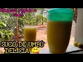 Lagu COMO FAZER SUCO DE UMBÚ?SIMPLES RAPIDO E FÁCIL #vidanocampo