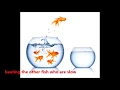 my little goldfish Nursery Rhyme poem kids