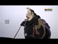 Download Lagu Langen budaya _ lakon cungkring takon bedare wayang
