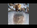 Download Lagu Zawsze chciałem mieć brata