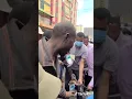 Download Lagu Kenya,Eastleigh thief Virtually burned alive._strong content_!