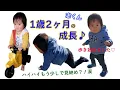 Download Lagu 【志】1歳2ヶ月の成長記録♪