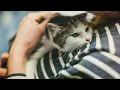 Cronin Cares - Cronin Ford Harrison Ohio