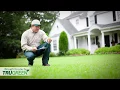 What to Expect from Your Lawn Care Plan from TruGreen