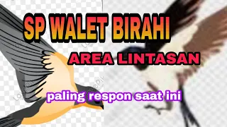sp walet birahi paling respon mp3 area lintasan