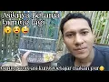 Download Lagu Belanja burung lagi?? | burung asi kumis gacor!!! | asi kumis sumatera!!!