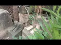 Download Lagu Tep Phakdei Pothiram temple , Wat Tep Phakdei Pothiram temple , Ancient Heritages