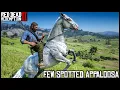 FEW SPOTTED APPALOOSA - Red Dead Redemption 2 Story Mode