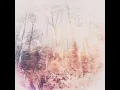 Birdsong