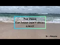 THE VERVE - The Drugs Don't Work (Lyrics)