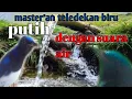 Download Lagu terapi teledekan||biru putih||dengan suara air@jahid channel