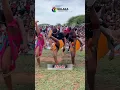 Download Lagu Ai suka zikhona lezintombi “ingoma yesixaxa saMahlabathi no Nongoma”
