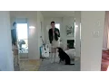 WILL I NEED BRACES MEETING MY ORTHODONTIST Kitty Plays