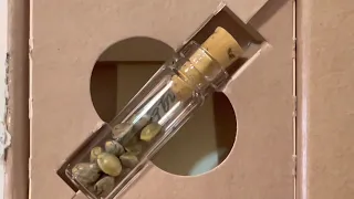 Peach Ringz Unboxing - Dying Breed