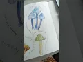 My finished mushroom page