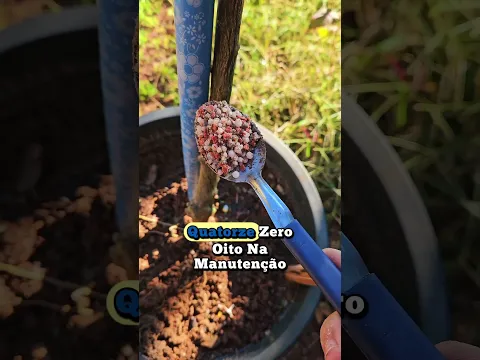 o detalhe na adubação que pode fazer diferença na sua jabuticabeira 🌱🍇 #jabuticabeira #adubo