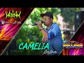 Download Lagu CAMELIA - Cak Brodin - New Pallapa Live Wotan - Ramayana Profesional Audio