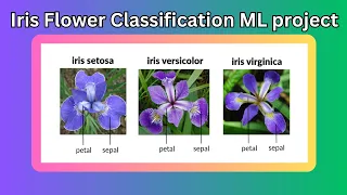 Iris Flowers Classification Machine Learning Project Python