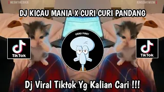 dj kicau kicau kicau mania x disaholic x curi curi pandang slow viral tiktok full song 2026 