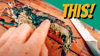 Don’t Eat This! 🤢