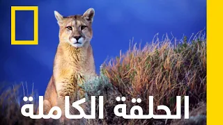 القيادة للنجاة الأرجنتين البري ة ناشونال جيوغرافيك أبوظبي 