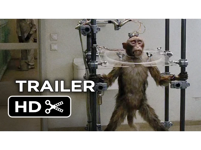 A Pigeon Sat on a Branch Reflecting on Existence Official US Release Trailer 1 (2015) - Movie HD