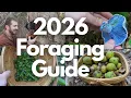 2026 Foraging Guide to Wild Mushrooms and Plants Morels and Ramps
