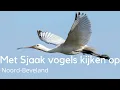 Download Lagu Vogels kijken op Noord-Beveland #1619