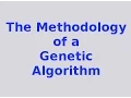 Genetic Algorithms the Methodology of a Genetic Algorithm