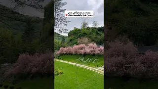 البوسنة بدون فيزا لمعظم دول الخليج ولو معاك امريكا شنجن هتدخل بدون تاشيرة البوسنة سفر Bosnia 