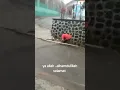 Download Lagu TERBAWA ARUS SAAT BANJIR, AKHIRNYA TERSELAMATKAN.