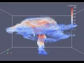 Eulerian-Lagrangian Simulation of a Volcanic Plume