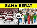 Download Lagu 65 Fakta Unik yang Bisa Membuatmu Terlihat Cerdas