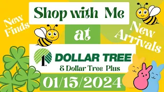 Dollar Tree Shop with Me Walkthrough Walk-Thru Great New DT Plus Arrivals Finds Bees ASMR 2024