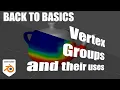 Back to Basics Vertex Groups and their Uses