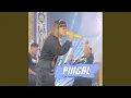 Download Lagu Pingal