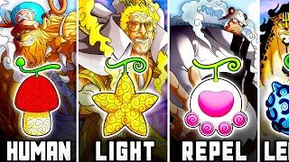 ALL 124 Devil Fruits In One Piece Explained