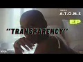 Transparency - Visualizer