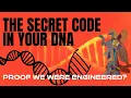 Download Lagu The Hidden Code in Our DNA – Signs of Alien Design?