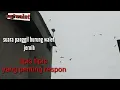 Suara panggil burung walet Josss